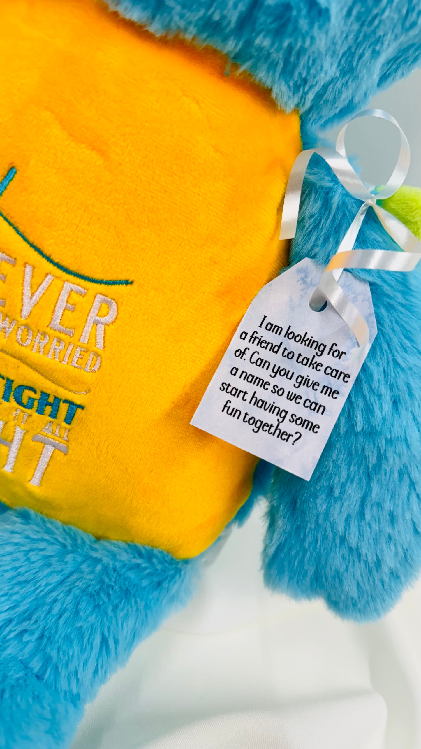 Children’s Worry Monster. Embroidered Personalised Plush Teddy. Children’s Anxiety Help