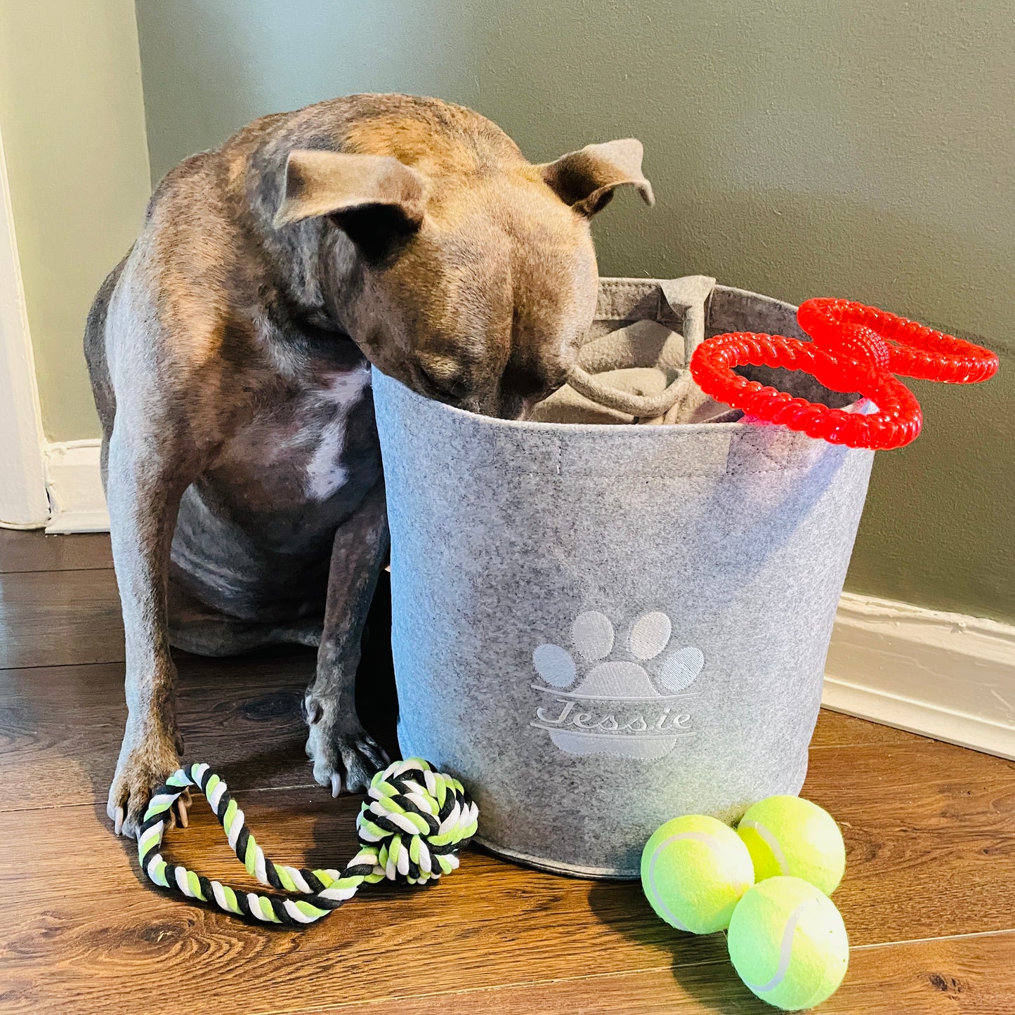 Personalised Pet Dog or Cat Toy Basket Embroidered With Your Pets Name