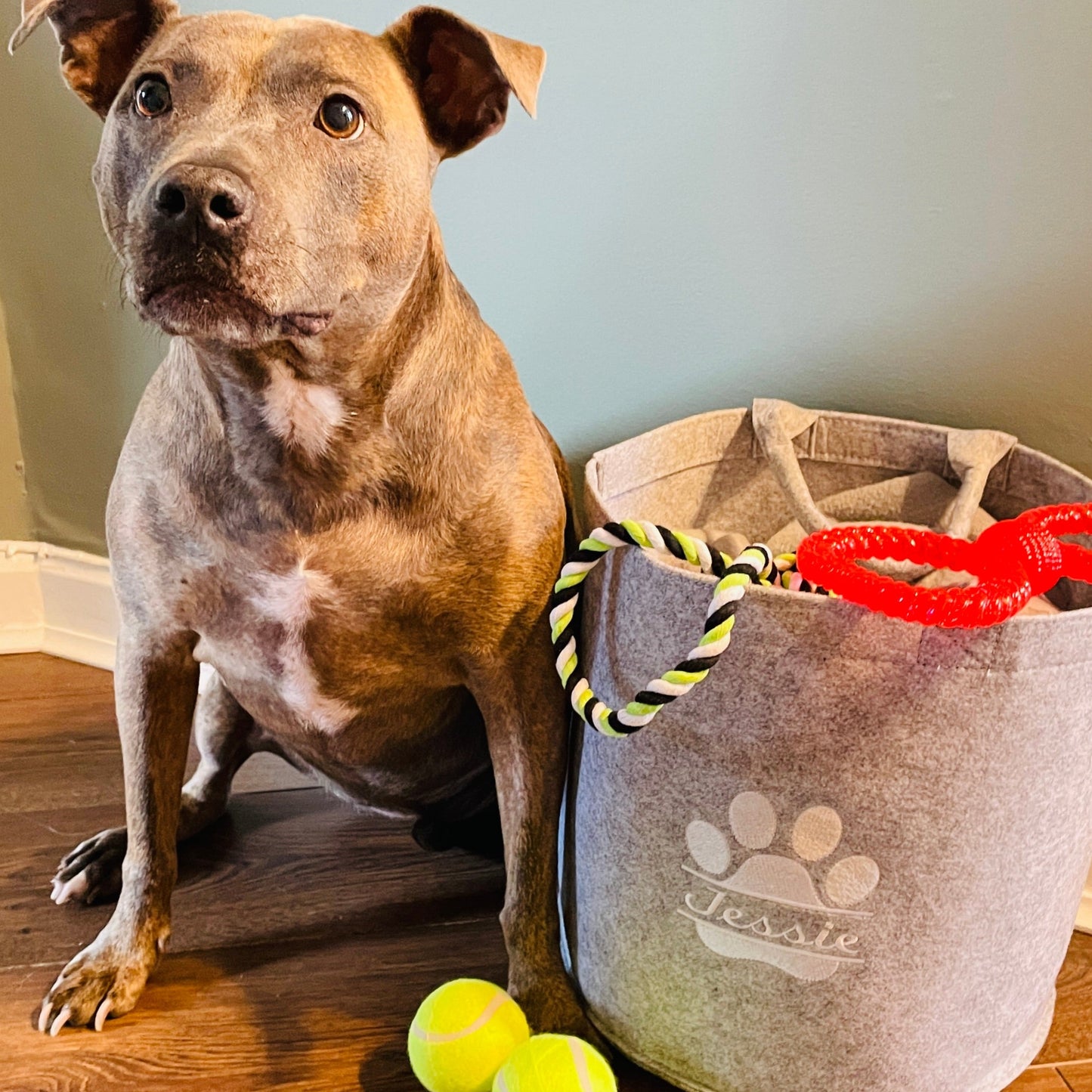Personalised Pet Dog or Cat Toy Basket Embroidered With Your Pets Name