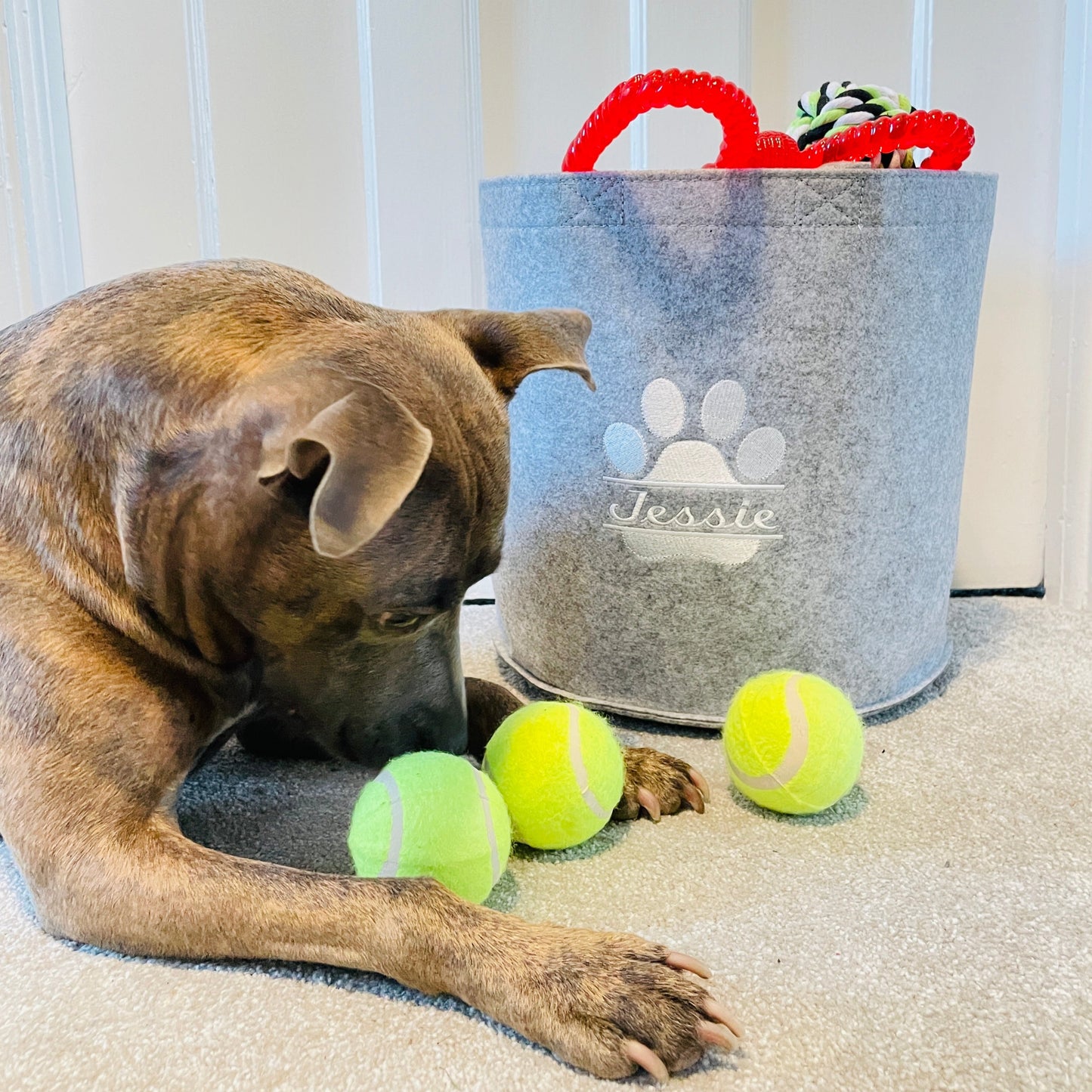 Personalised Pet Dog or Cat Toy Basket Embroidered With Your Pets Name