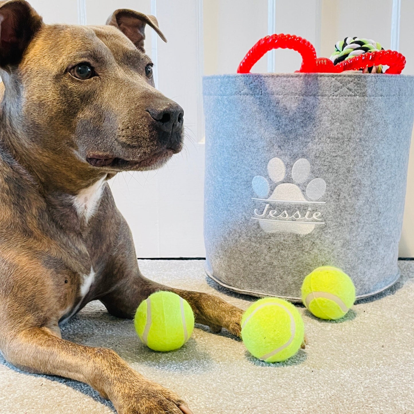 This is a dog laying next to a new personalised toy box just for her. The box is grey and white embroidered with her name with toys overflowing.