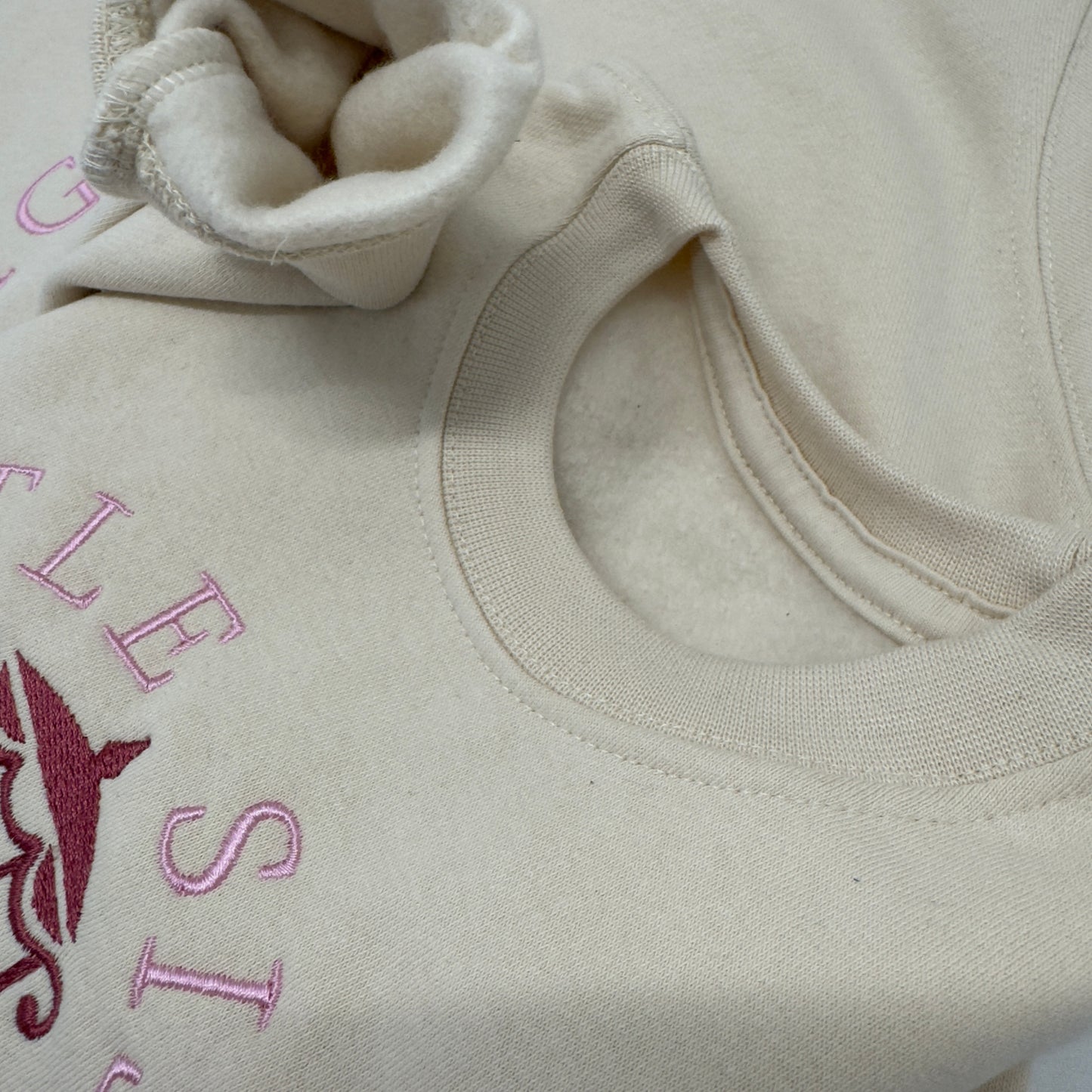 Big Sister Little Sister Personalised Embroidered Children's Soft Cotton Sweater with Princess Carriage
