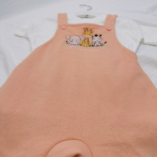 Personalised Kids Safari Dungarees with T-Shirt Set - Custom Name Embroidery, Multiple Colours