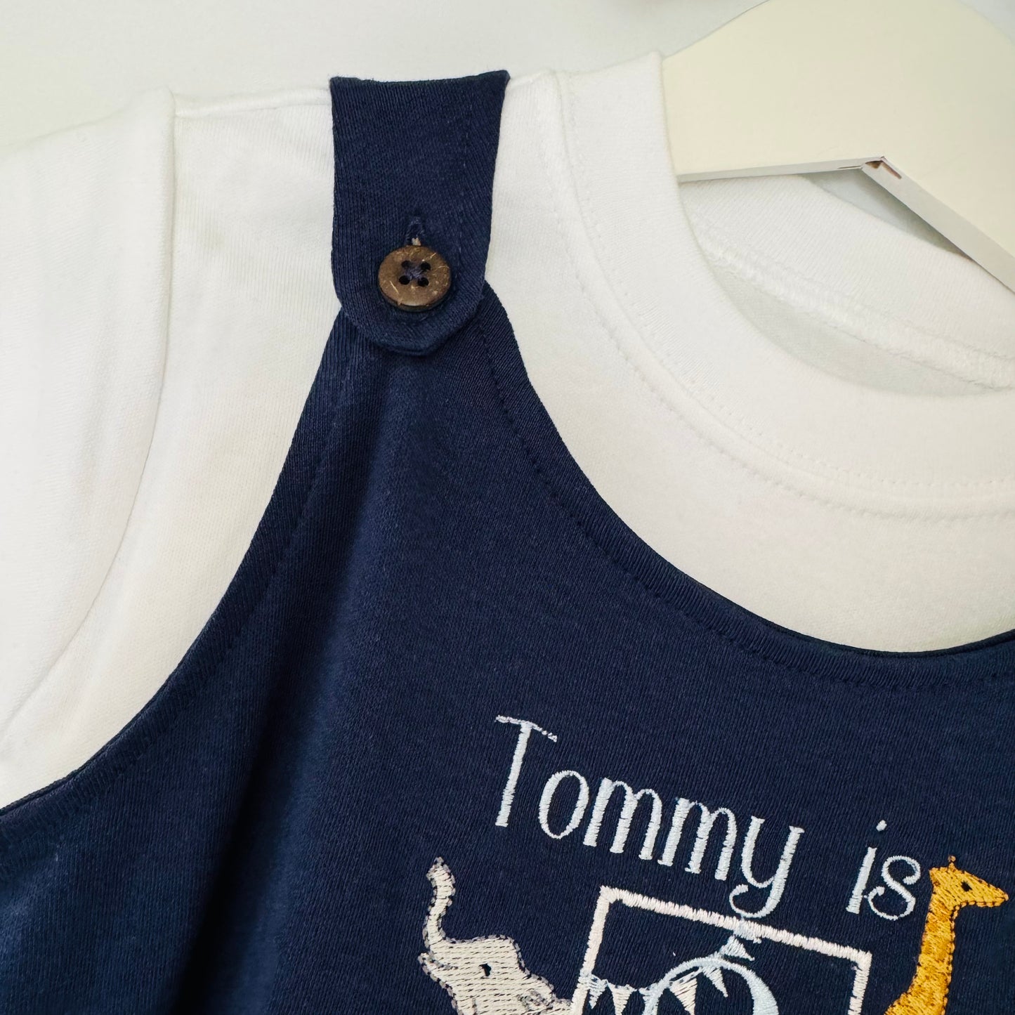 Children's Safari Embroidered Birthday Organic Cotton Dungaree Outfit T-Shirt Included