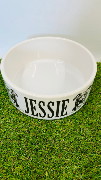 Personalised Ceramic Dog Bowl - Various Breeds Available