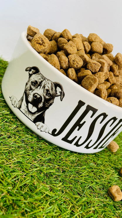 Personalised Ceramic Dog Bowl - Various Breeds Available