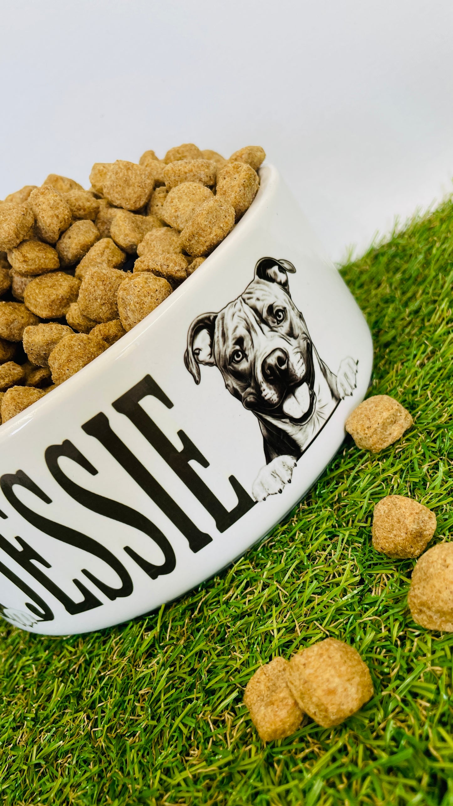 Personalised Ceramic Dog Bowl - Various Breeds Available