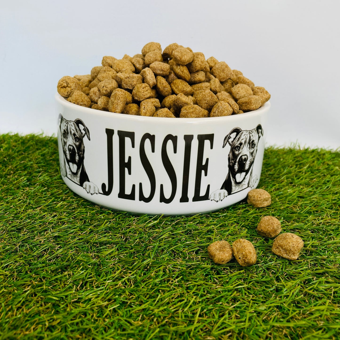 Personalised Ceramic Dog Bowl - Various Breeds Available